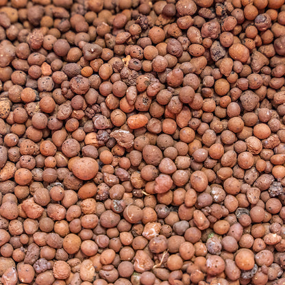 2.5 LB LECA Clay Growing Medium